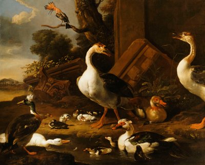 遺跡が近くにある風景の中の中国とエジプトのガチョウと他の鳥、 作： Melchior de Hondecoeter
