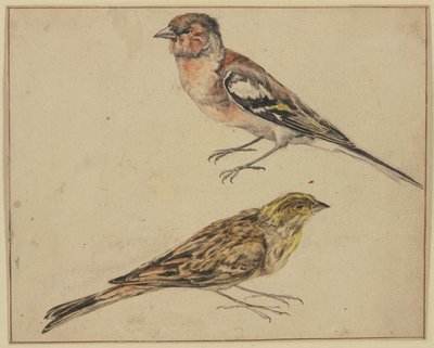  作： Melchior de Hondecoeter