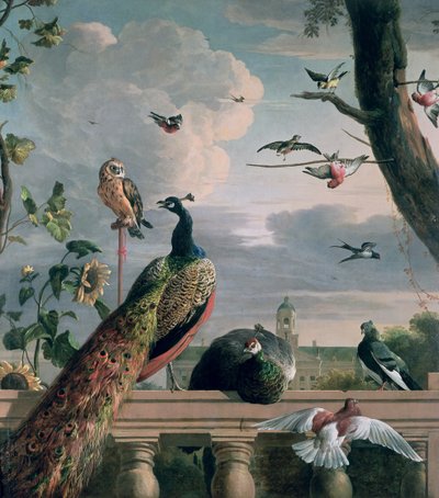 エキゾチックな鳥のいるアムステルダムの宮殿 作： Melchior de Hondecoeter