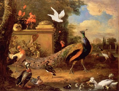 湖のそばのクジャクと他の鳥 作： Melchior de Hondecoeter
