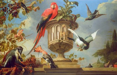 壺に腰掛けた緋色のコンゴウインコ、他の鳥やサルがブドウを食べる 作： Melchior de Hondecoeter