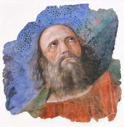使徒の頭、1480年頃（フレスコ画） 作： Melozzo da Forli