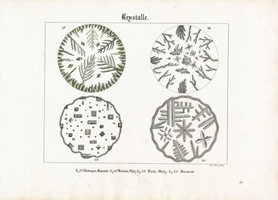 様々な塩の結晶形 作： Meno Haas