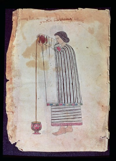 メキシコのインド人、チョコレートを準備中、コーデックストゥレダ、1553年 作： Mexican School
