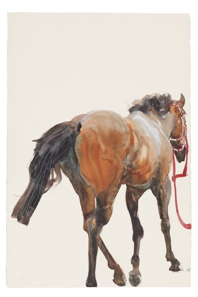無題、2018年（紙に水彩画） 作： Michael Frith