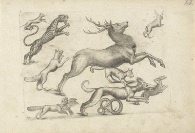 作図例付き学習シート：いろいろな動物 作： Michael Snijders (attributed to)