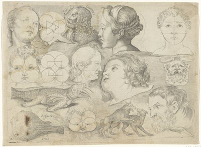 図解例が掲載された学習用シート：図形、動物など 作： Michael Snijders