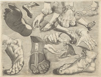 描画例付き学習シート: 手、足、サル 作画例（連載タイトル） 作： Michael Snijders