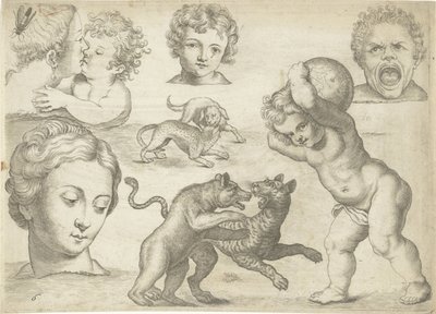 描画例付き学習シート: 頭と戦う動物 作画例（連載タイトル） 作： Michael Snijders