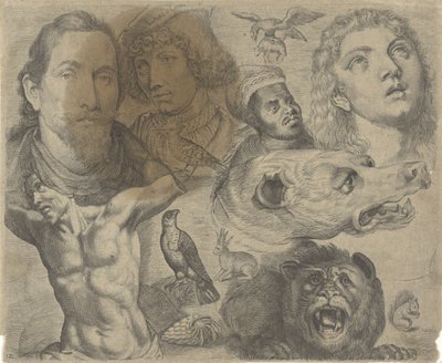 描画例を含む学習シート: 頭、胴体、動物 作画例（連載タイトル） 作： Michael Snijders