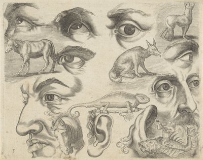描画例を含む学習シート: 目、頭、動物 作画サンプル（連載タイトル） 作： Michael Snijders