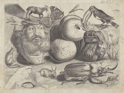 作図例付きの学習シート: 肖像画、動物、昆虫 作画例（連載タイトル） 作： Michael Snijders