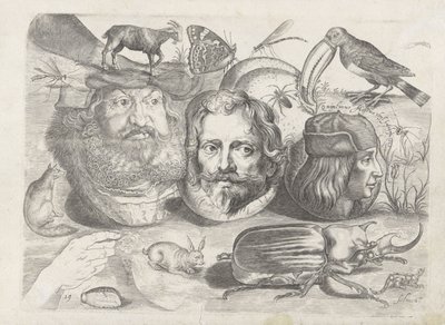 デッサンの見本が掲載された練習用シート：肖像画、動物、昆虫 作： Michael Snijders