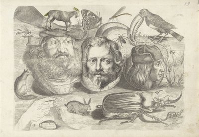 デッサンの見本が掲載された練習用シート：肖像画、動物、昆虫 作： Michael Snijders