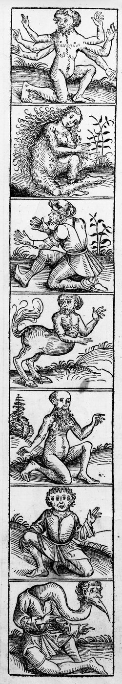 Hartmann Schedelによる「Nuremberg Chronicle」からのモンスター、1493年公開 作： Michael Wolgemut