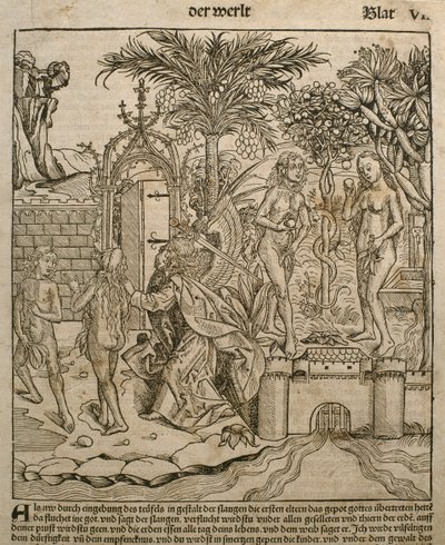 1493年にニュルンベルクで出版されたハルトマンシェデル（1440-1514）による「自由のクロニコルム」からのアダムとイブのイラスト 作： Michael and Pleydenwurff, W. Wolgemuth