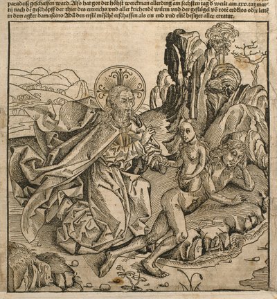 1493年にニュルンベルクで出版されたハートマンシェデル（1440-1514）による「自由のクロニコルム」からのイラスト、アダムの肋骨からイブを作成する父なる神 作： Michael and Pleydenwurff, W. Wolgemuth