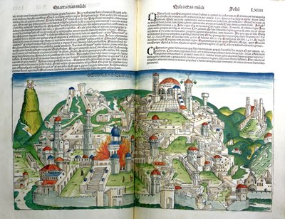 1493年に印刷されたハートマンシェデル（1440-1514）によるニュルンベルク年代記からティトゥス皇帝によって破壊されたエルサレムの反乱した都市 作： Michael and Pleydenwurff, W. Wolgemuth