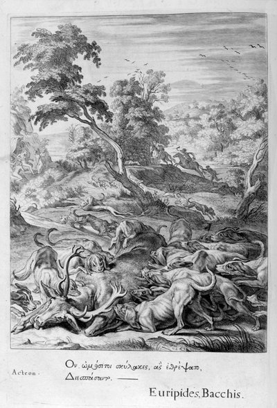 アクテオンはクワガタに変わり、猟犬に貪り食われた、1655 作： Michel de Marolles