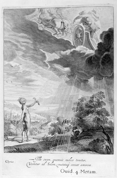 ひまわりに変身したクライティ、1655 作： Michel de Marolles