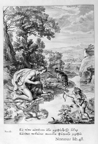 彼自身の反射に恋する水仙、1655 作： Michel de Marolles