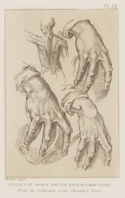男性像の手と背中の研究（エッチング 作： Michelangelo (after) Buonarroti
