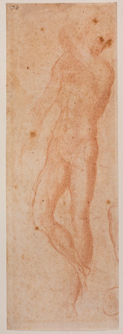 男性ヌードの研究 作： Michelangelo (after) Buonarroti