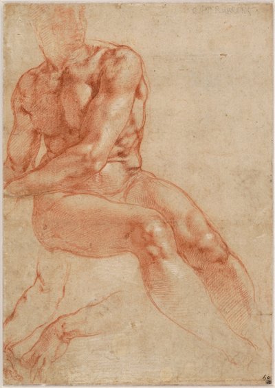 座った若い男性ヌードと2本の腕の習作（レクト） 1510-11年頃 作： Michelangelo