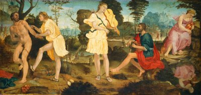 アポロとマルシュアス、c。 1540年。 作： Michelangelo Anselmi