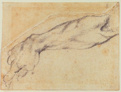 システィーナ像のための腕の習作 作： Michelangelo Buonarroti