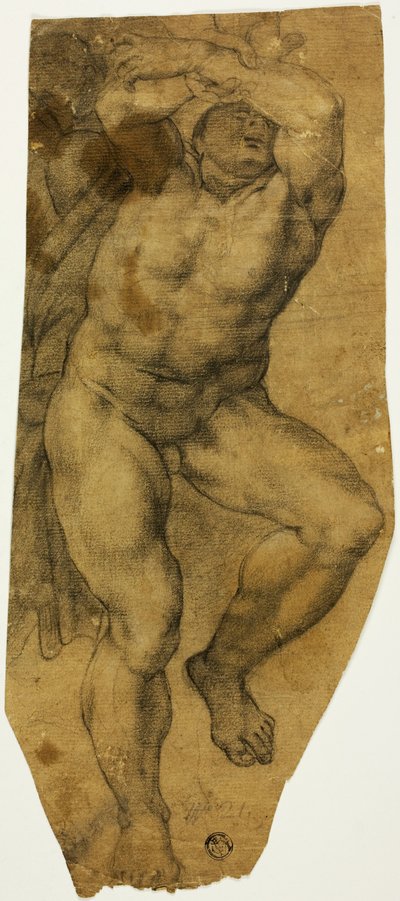 昇順男性ヌード 作： Michelangelo Buonarroti
