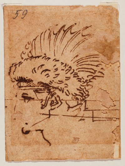 クレステッドヘッド 作： Michelangelo Buonarroti