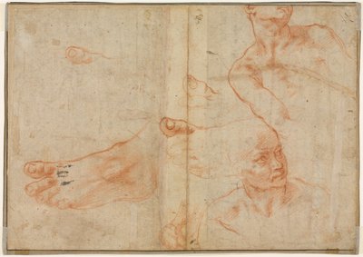 図 システィーナ天井の習作 (裏面) 作： Michelangelo Buonarroti