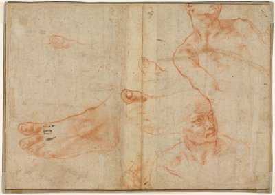 システィーナの天井の図の研究、1510-11。 作： Michelangelo Buonarroti