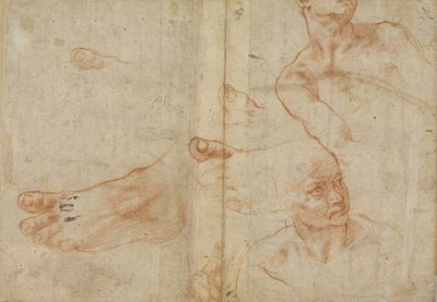 システィーナ礼拝堂の図の研究 作： Michelangelo Buonarroti