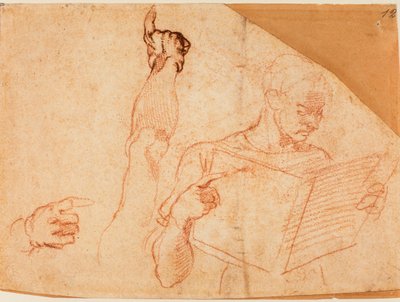 システィーナ礼拝堂の「アマンの処罰」のための習作。 作： Michelangelo Buonarroti