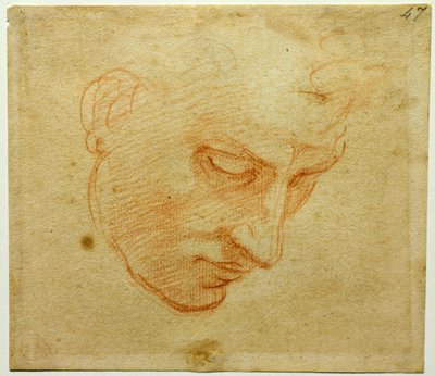 システィーナ礼拝堂の天井へのヘッドスタディ 作： Michelangelo Buonarroti