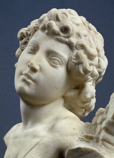 「マンハッタン」キューピッドの頭、1494-96年頃（大理石）（詳細） 作： Michelangelo Buonarroti