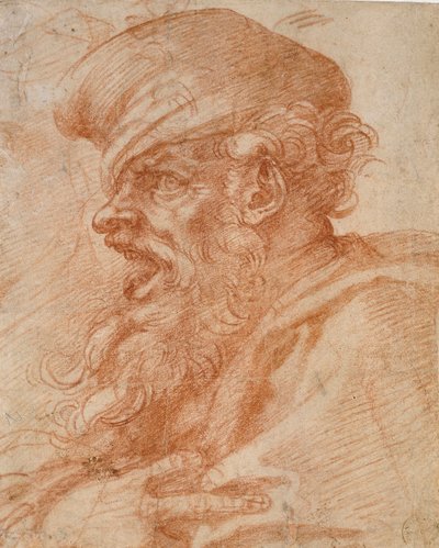 叫ぶひげを生やした男の頭、16 世紀 作： Michelangelo Buonarroti