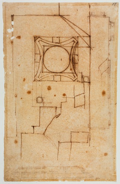 資本の水平セクション 作： Michelangelo Buonarroti