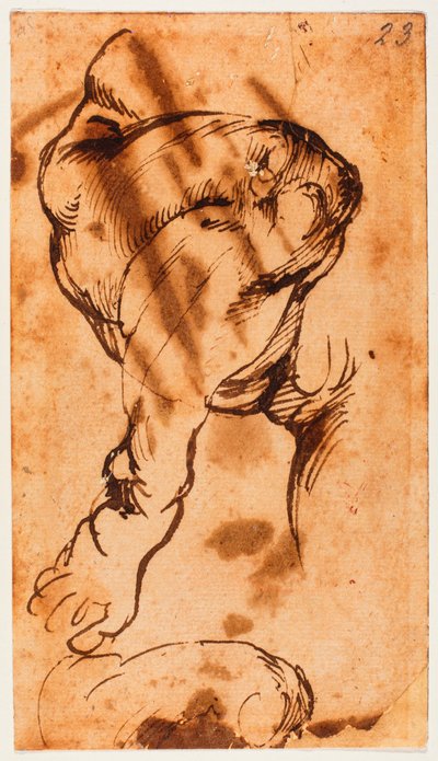 ドニ・トンドの子供のための脚の研究 作： Michelangelo Buonarroti