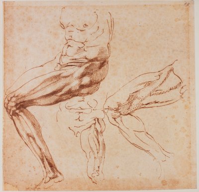 脚の研究 作： Michelangelo Buonarroti