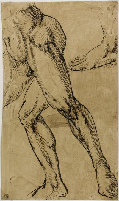 男性ヌードの脚と足 作： Michelangelo Buonarroti