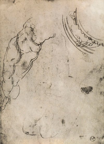 男性の足、ミケランジェロによる研究。内閣描画と版画、ウフィツィ美術館、フィレンツェ 作： Michelangelo Buonarroti
