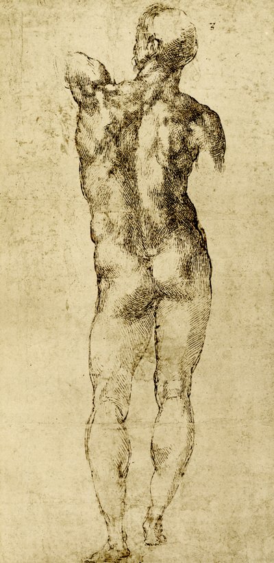 男性ヌード 作： Michelangelo Buonarroti