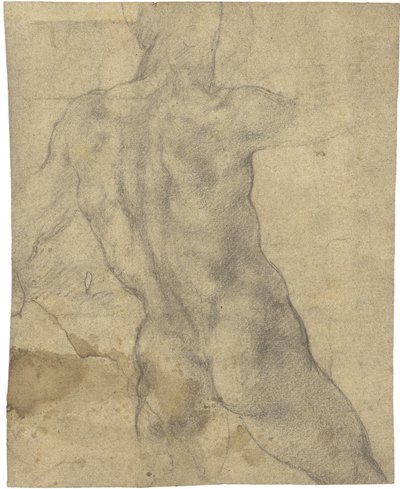 男性ヌード 作： Michelangelo Buonarroti