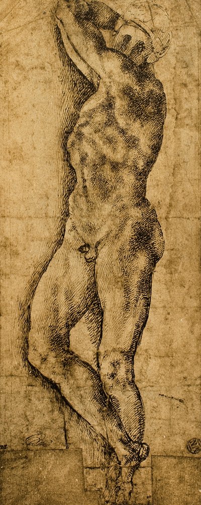 男性のヌード;ミケランジェロの絵。ルーブル美術館、パリ 作： Michelangelo Buonarroti