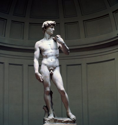 ミケランジェロのダビデ像、16 世紀 作： Michelangelo Buonarroti
