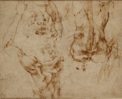 ヌード研究、c1490-1560 作： Michelangelo Buonarroti