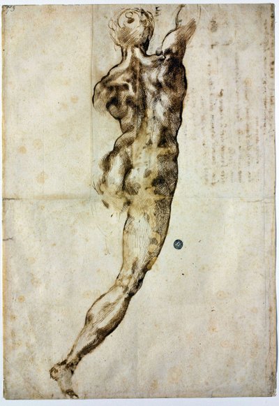 後ろからヌードc 1504 作： Michelangelo Buonarroti